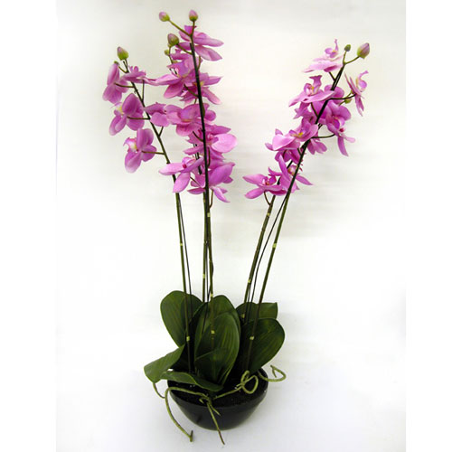 Orchids Artificial Flowers